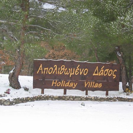 Apolithomeno Dasos Holiday Villas Near Alexandroupolis Lefkimmi  エクステリア 写真