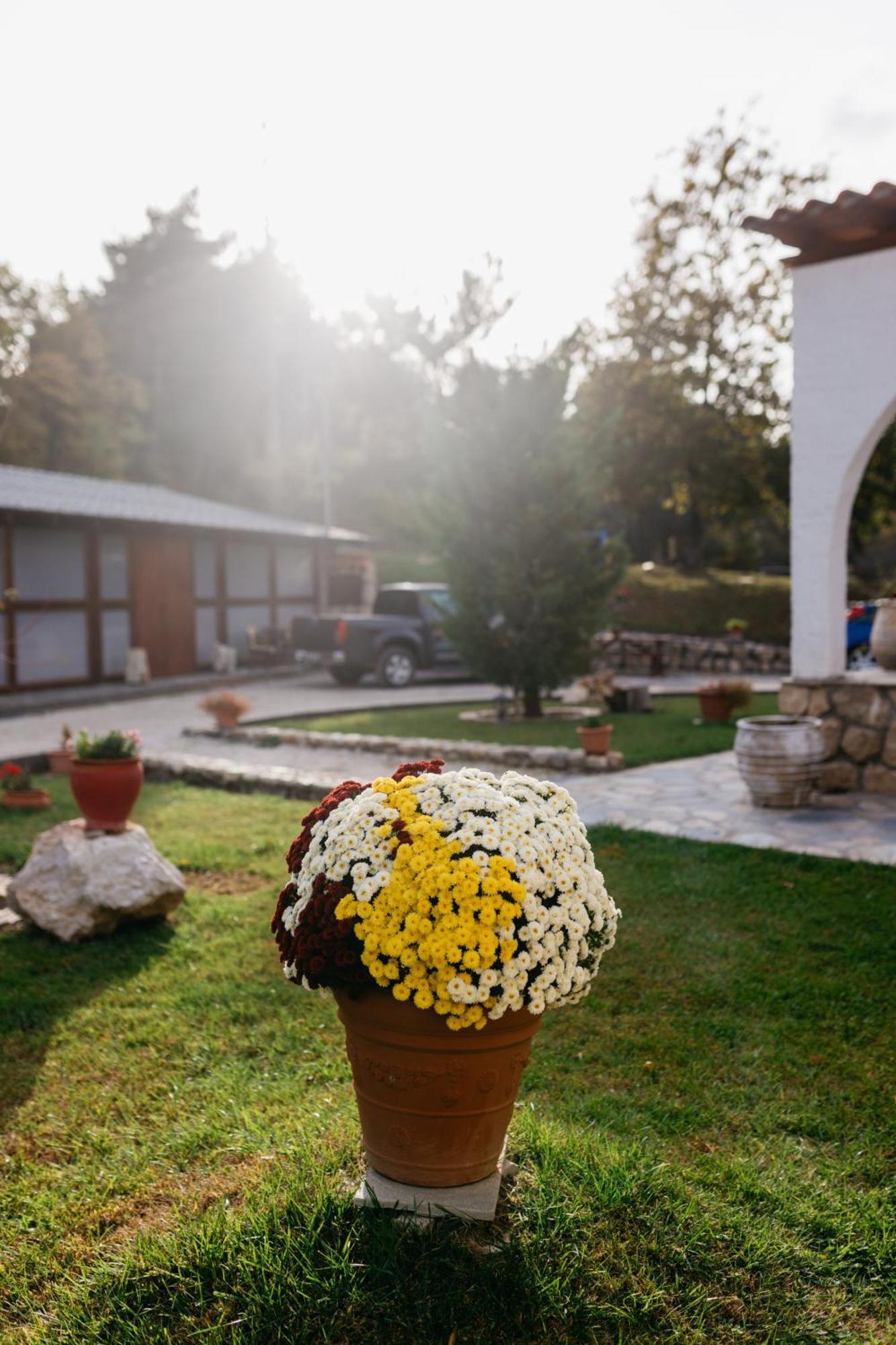 Apolithomeno Dasos Holiday Villas Near Alexandroupolis Lefkimmi  エクステリア 写真